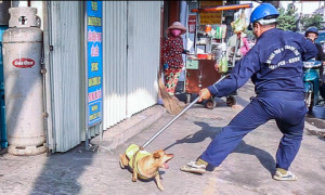 Thành lập Đội bắt chó thả rông và động vật mắc bệnh Dại, có dấu hiệu mắc bệnh Dại xã Thống Nhất