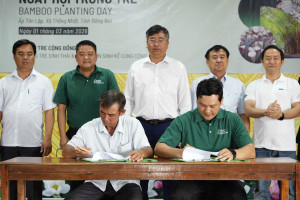 Lễ khởi động Ngày hội trồng tre: Chung tay vì môi trường và sinh kế cộng đồng