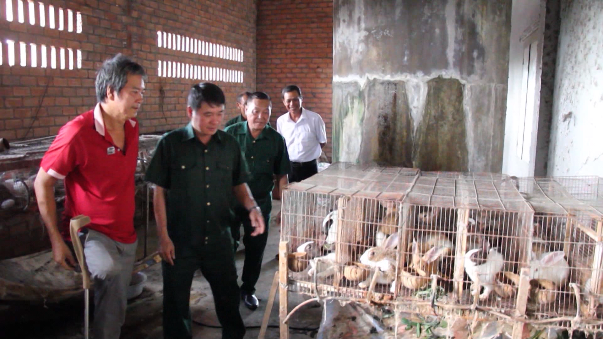 Mô hinh nuôi thỏ lấy thịt của cựu chiến binh Nguyễn Công Sỹ đem lại hiệu quả kinh tế cao